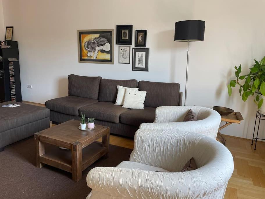 Spacious 3Br/2Bt Apartment With A/C In City Center Zagreb Exteriör bild