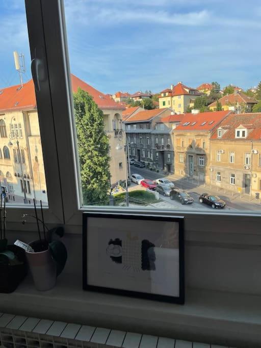 Spacious 3Br/2Bt Apartment With A/C In City Center Zagreb Exteriör bild