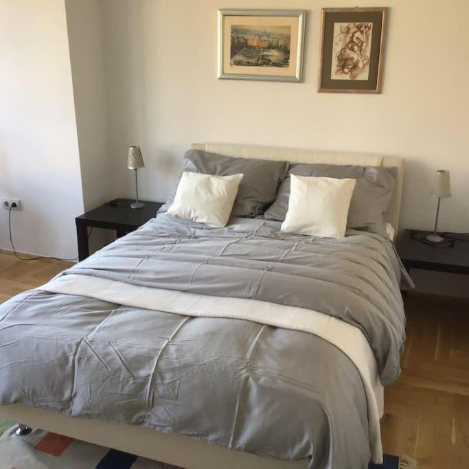 Spacious 3Br/2Bt Apartment With A/C In City Center Zagreb Exteriör bild