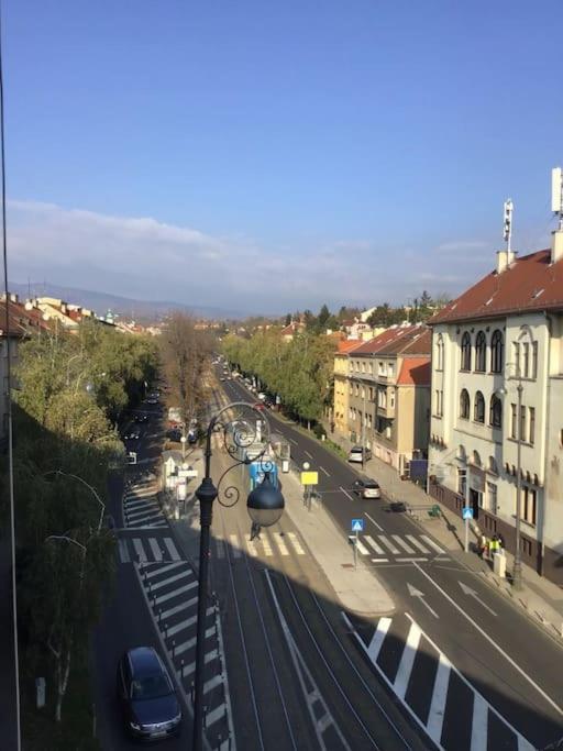 Spacious 3Br/2Bt Apartment With A/C In City Center Zagreb Exteriör bild