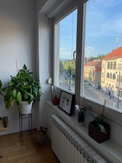 Spacious 3Br/2Bt Apartment With A/C In City Center Zagreb Exteriör bild